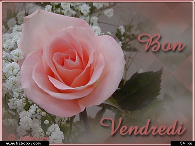 bon vendredi � tous, mes amis!!